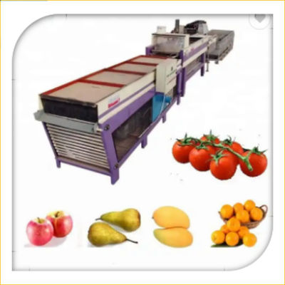 comprare Lavaggio arancio della frutta dell'avocado che incera vaglio di secchezza e di classificazione online manufacture