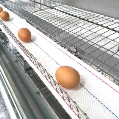 Cinghia calda della raccolta dell'uovo di vendita di Annilte nell'azienda avicola