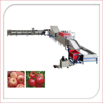 Lavaggio elettronico automatico della frutta e macchina 5MT/H di inceratura