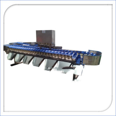 Sortitore elettronico automatico di frutta e pesatrice