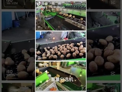 Pulizia della frutta e macchina di scelta