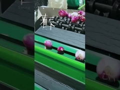 Pulizia della frutta e macchina di scelta