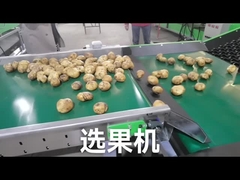 Personalizzi il selezionatore dell'ortaggio da frutto