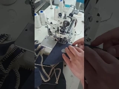 Macchine a conchiglia, macchine per avvolgere conchiglia, macchine per disegnare conchiglia, macchine per disegnare conchiglia