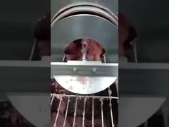 Cintura di separazione dell'osso per pesci in PU, cintura di separazione dell'osso, nastro trasportatore