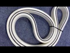 Nastro trasportatore per la separazione delle ossa di pesci di gomma